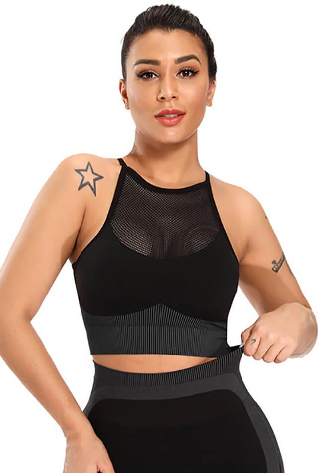Contrast Mesh Seamless Sports Bra